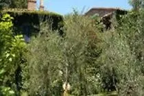Porciglia Alta